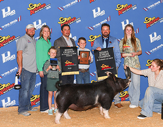 RESERVE GRAND CHAMPION GILT & RESERVE BERKSHIRE
2026 SAN ANTONIO STOCK SHOW